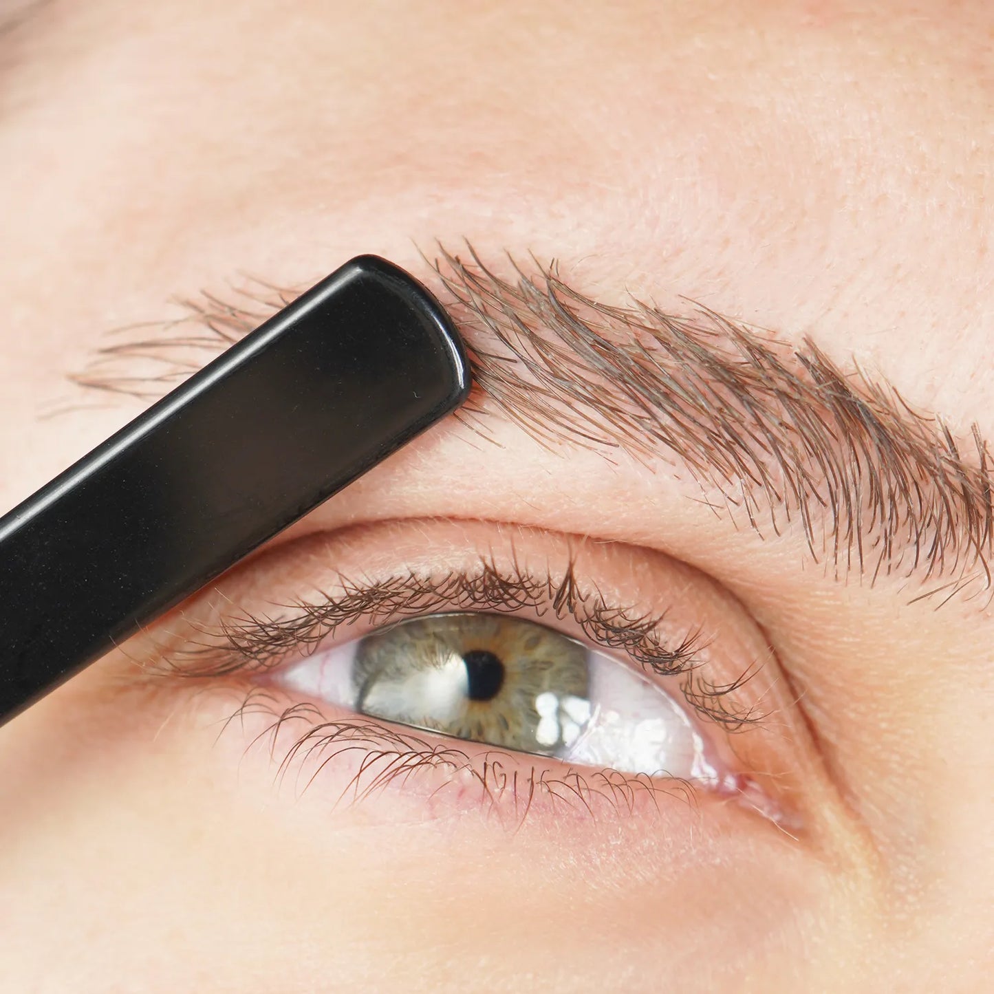 Shape my Brows